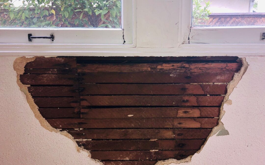 How to spot dry rot before it spreads