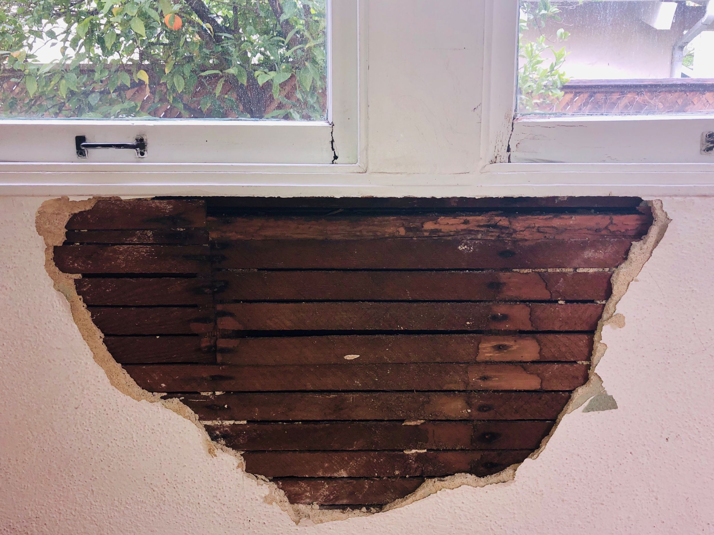 How to spot dry rot before it spreads